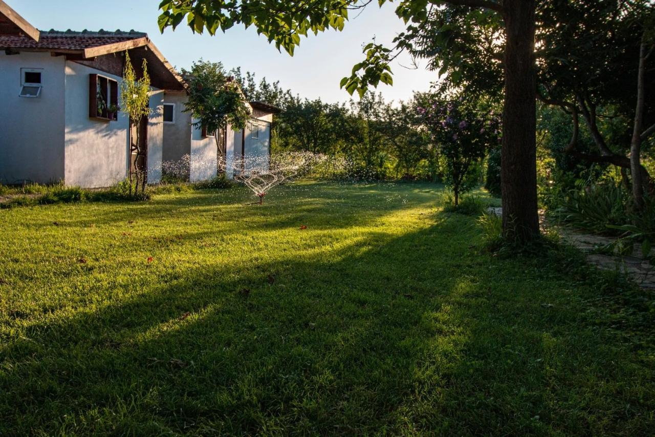 La Livada Villa Greci Eksteriør billede