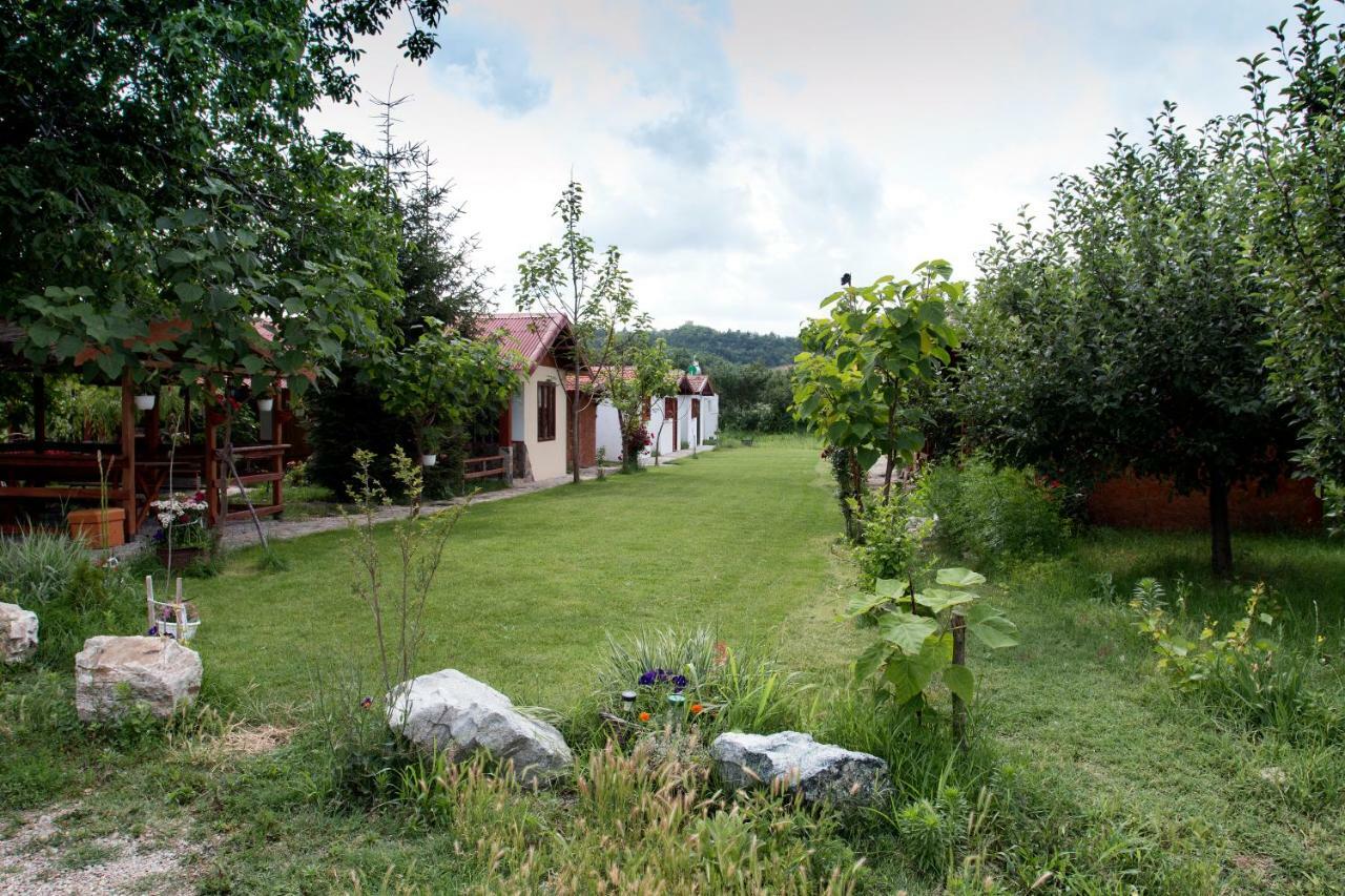 La Livada Villa Greci Eksteriør billede